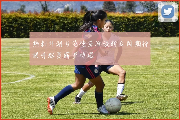 热刺计划与范德芬洽谈新合同期待提升球员薪资待遇