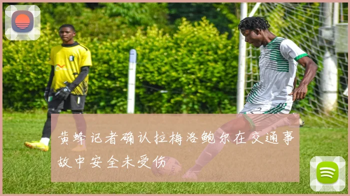 黄蜂记者确认拉梅洛鲍尔在交通事故中安全未受伤