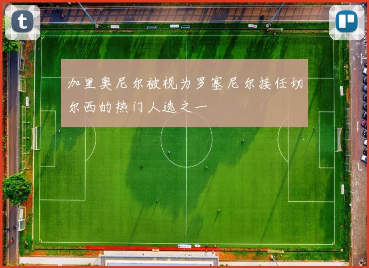 加里奥尼尔被视为罗塞尼尔接任切尔西的热门人选之一
