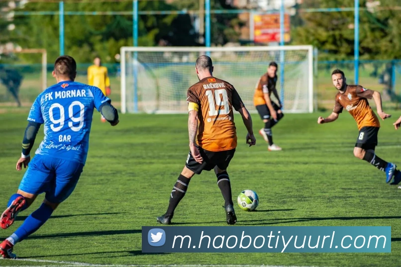 好博体育平台生态图